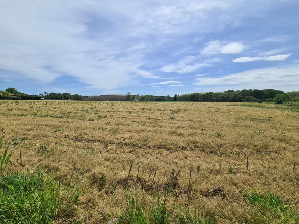 Terrain — Sainte-Marie-de-Gosse
