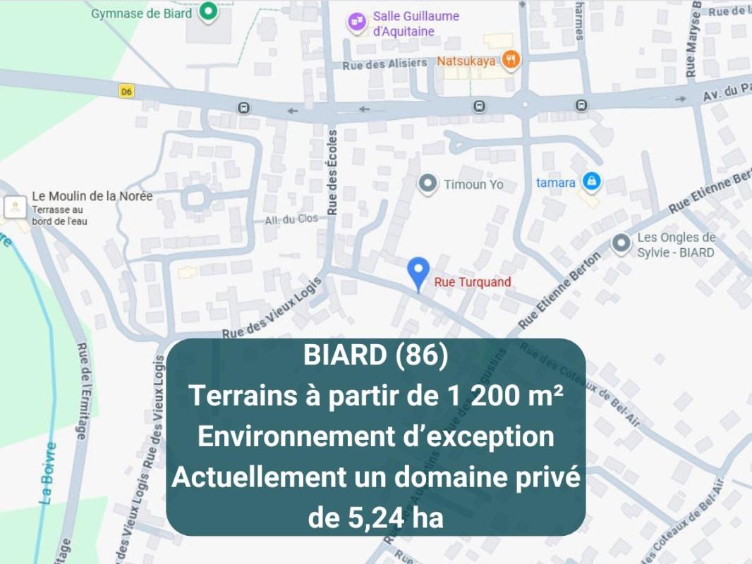 Terrain — Biard