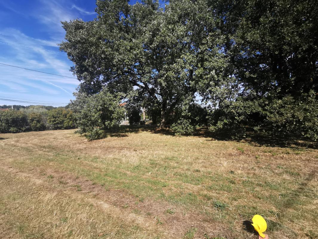 Terrain — Aussonne