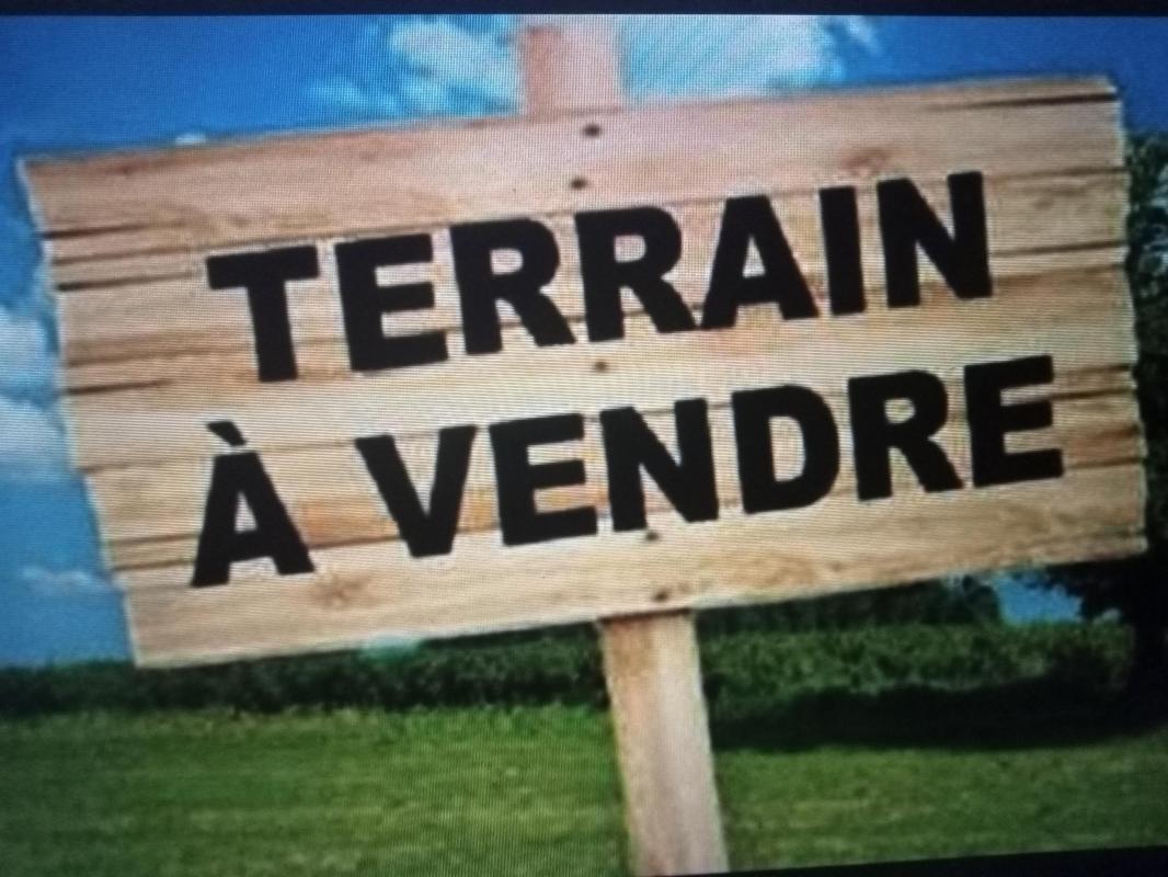 Terrain — Sallertaine