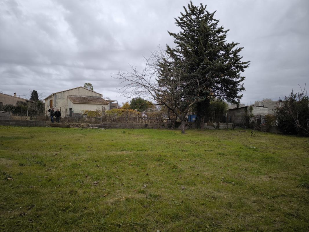 Terrain — Massanes