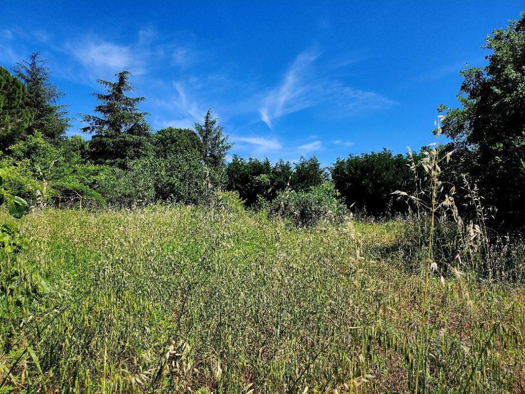 Terrain — Cassagnoles