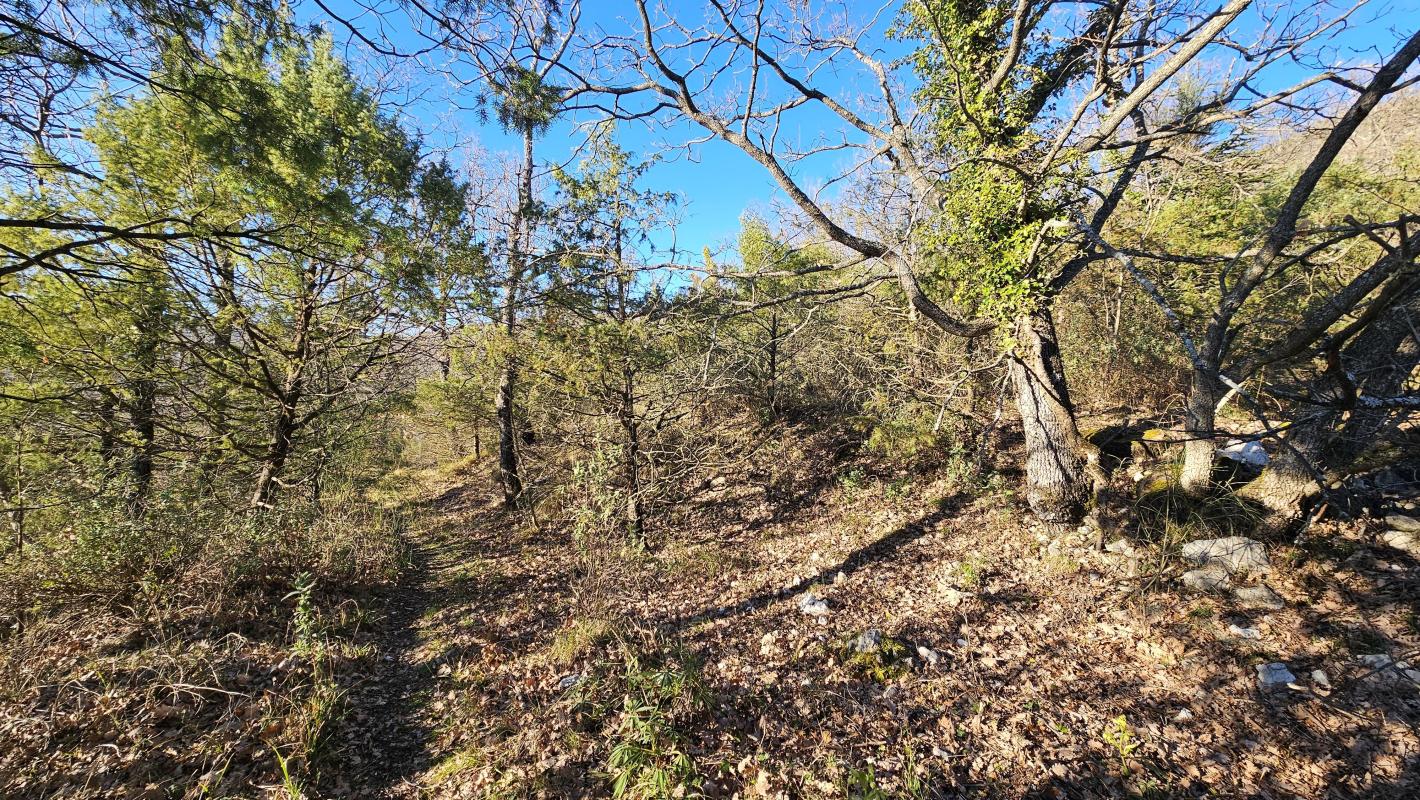 Terrain — Saint-Vallier-de-Thiey