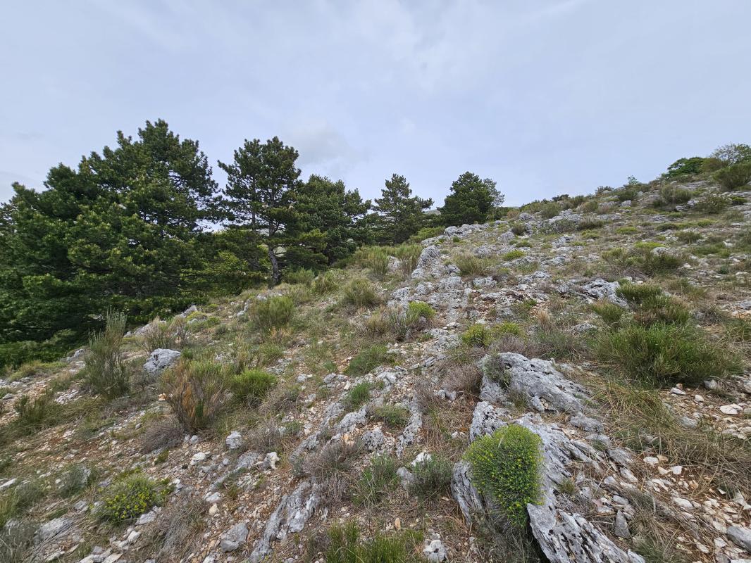 Terrain — Saint-Vallier-de-Thiey