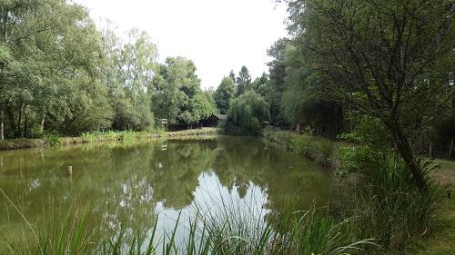 Terrain de loisirs