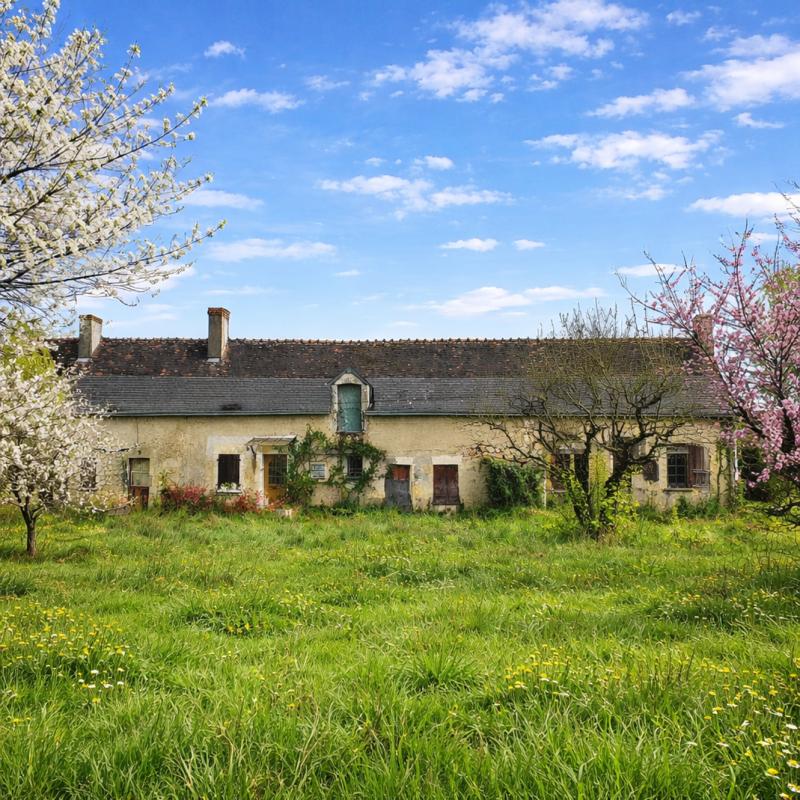 Maison 3 Pièce(s) Saint-Paterne-Racan