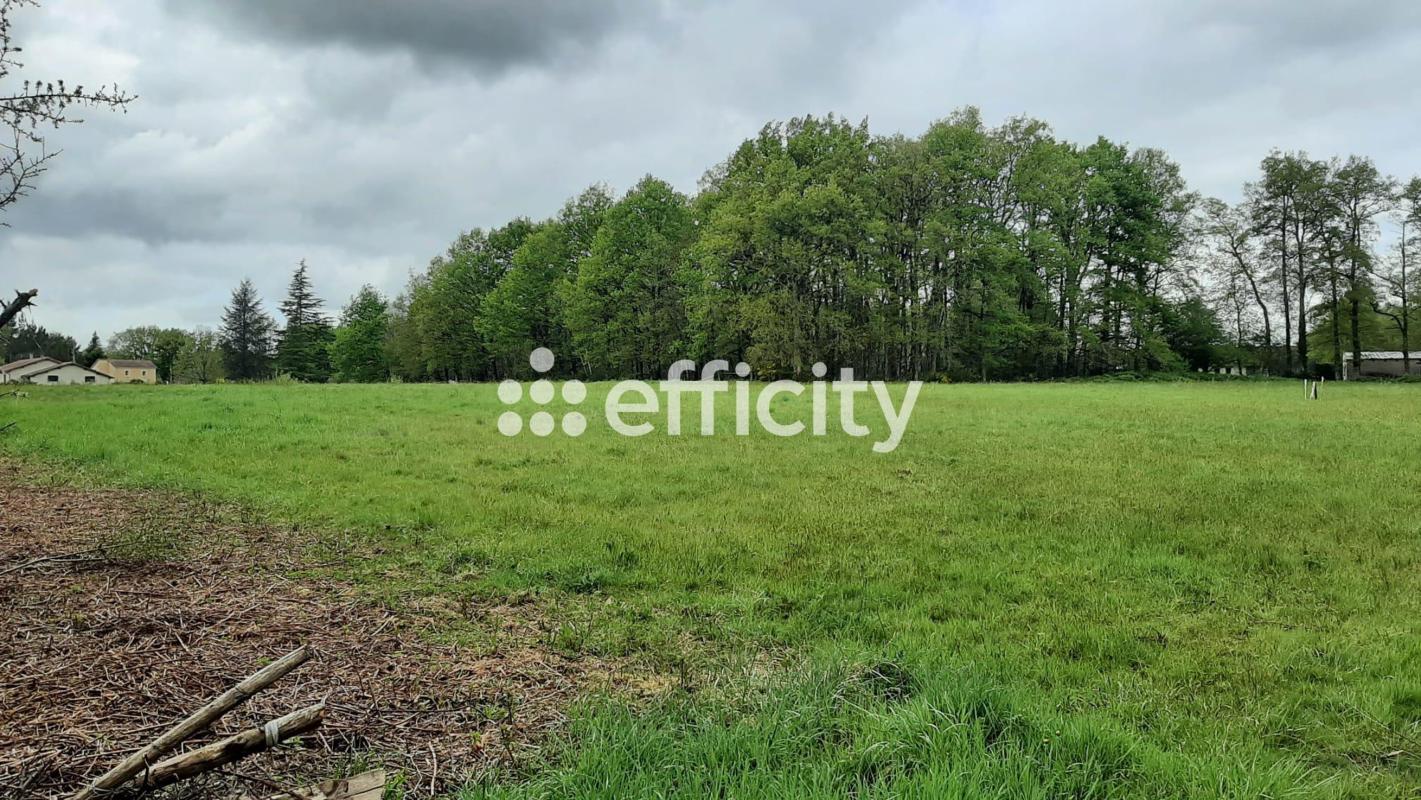 Terrain  Saint-Auvent