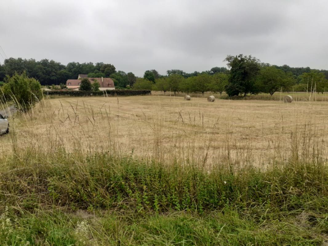 Terrain — Carsac-Aillac