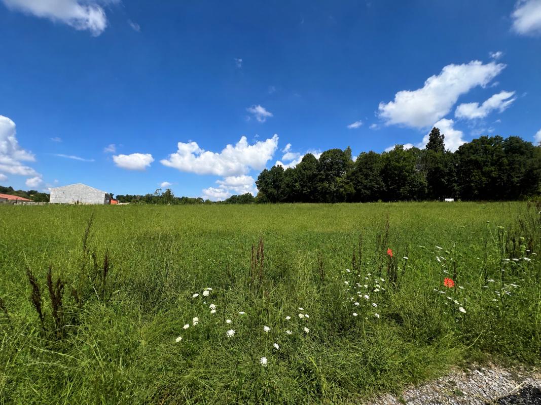 Terrain  Limoges