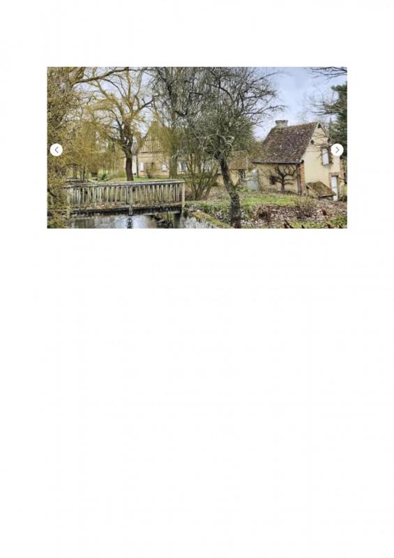 RARE A LA VENTE : TRES BEAU MOULIN DANS LE PERCHE - Photo 3