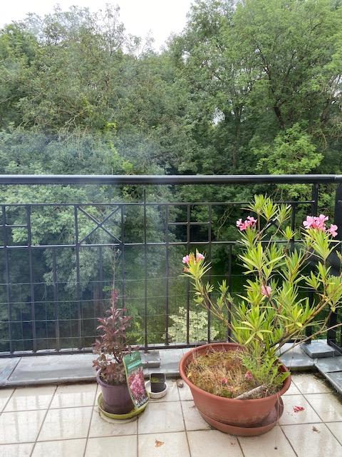 Appartement à vendre, 3 pièces, 67 m², Le Plessis Robinson