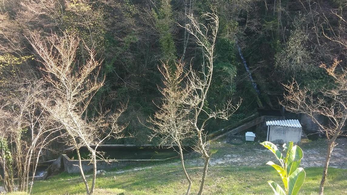 Vente terrain 25 ha, villa, source d'eau exploitable - Photo 3