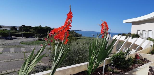 Appartement à vendre, 2 pièces, 35 m², La Rochelle