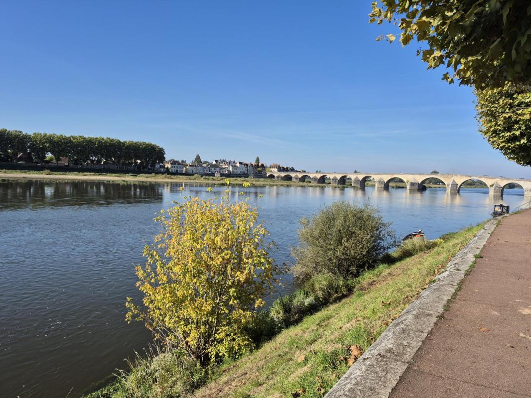 Maison à vendre, 320 m², Gien