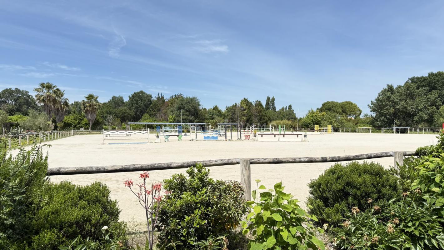 Montpellier, Domaine équestre sur plus de 3 hectares, proximit? - Photo 2