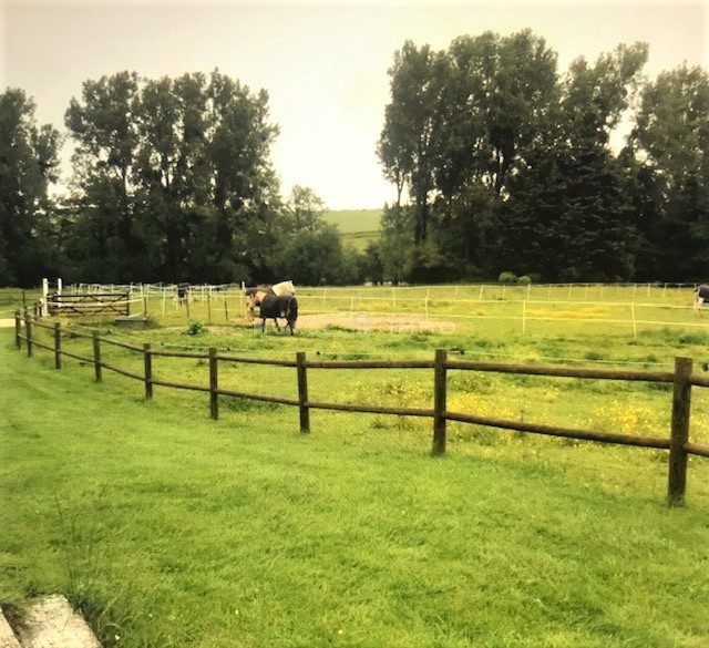 Propriété Equestre, 2 Maisons au Nord de Tours - Photo 4
