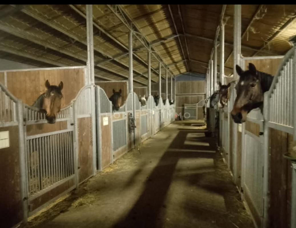 Domaine avec Gîtes et salle de réception, 15 ha, Côte Atlanti - Photo 5