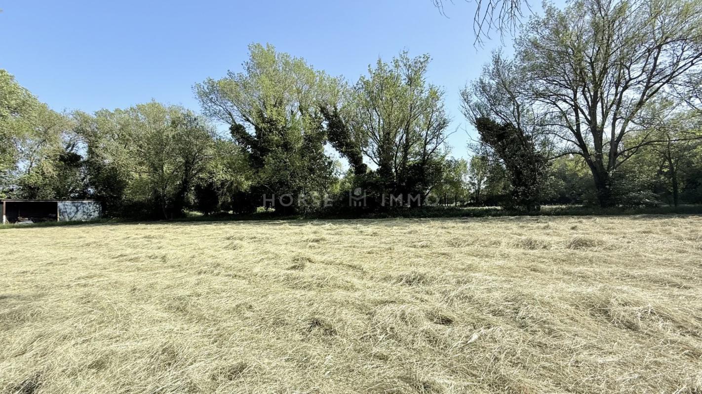 Propriété agricole de caractère aux portes de Fontvieille - - Photo 2