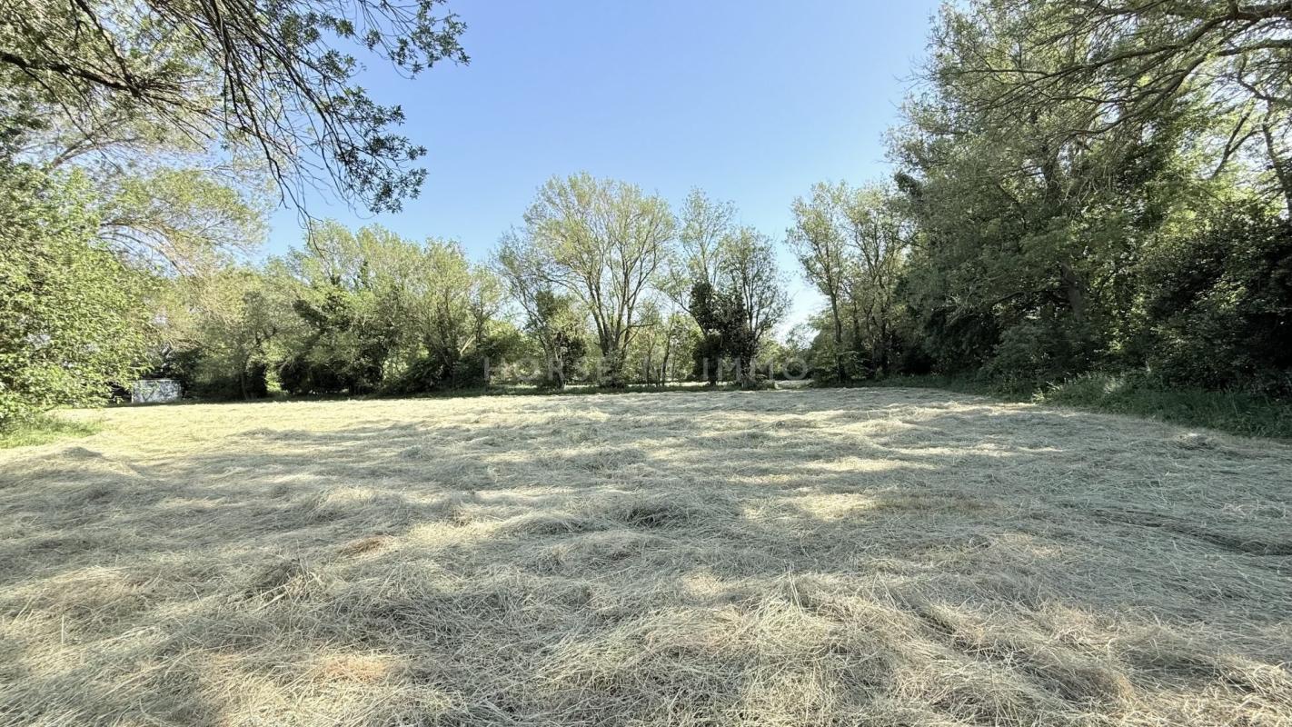 Propriété agricole de caractère aux portes de Fontvieille - - Photo 3