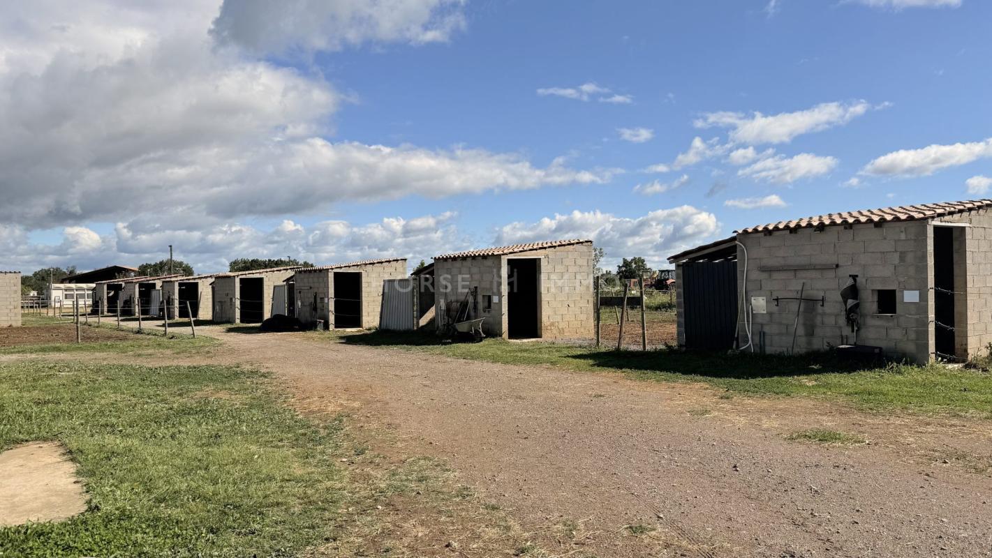 Rare- Propriété équestre clé en main - Photo 3