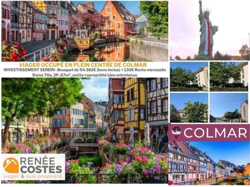 Viager occupé - F70 ans - COLMAR (68000)