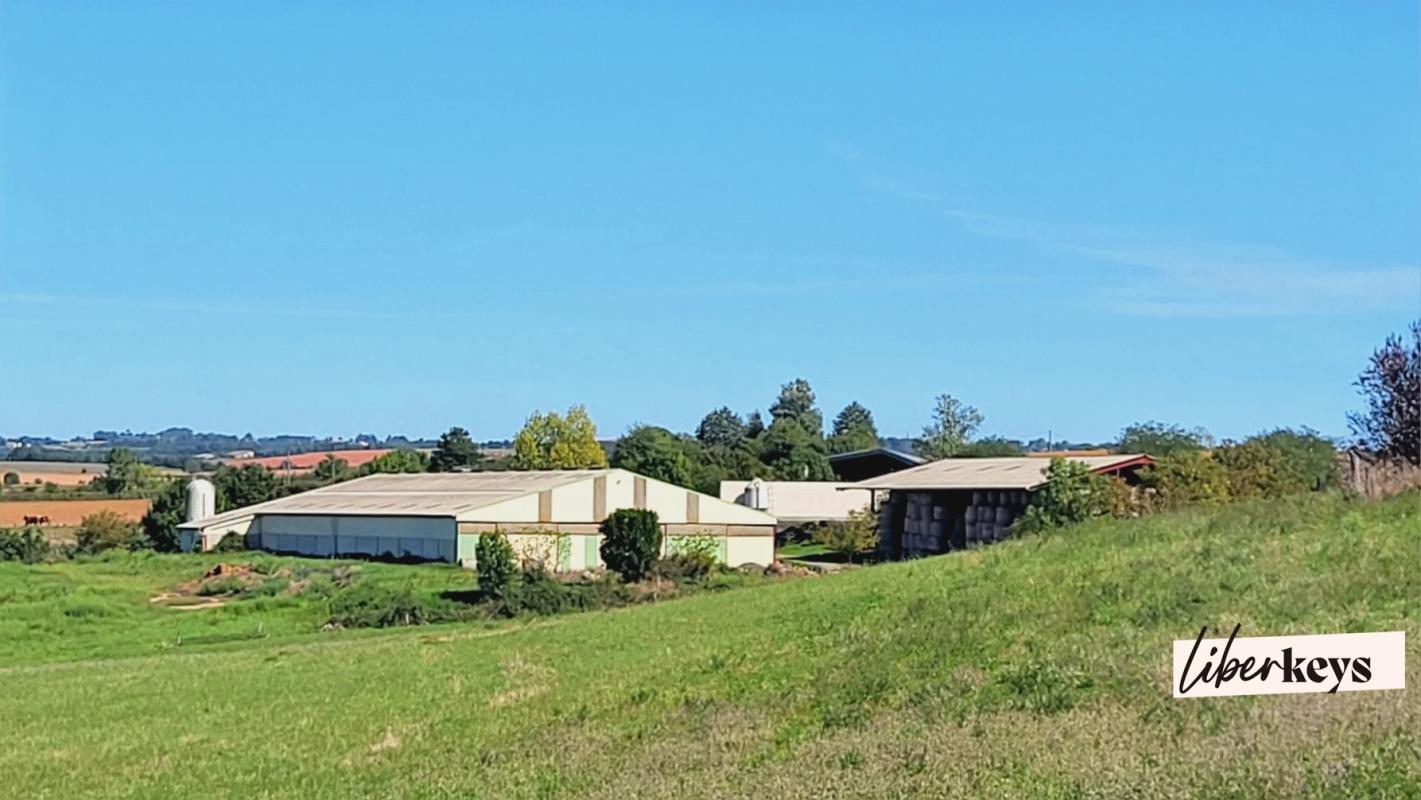 A vendre exploitation agricole à partir de 349 000 € – 10 minutes d’Albi