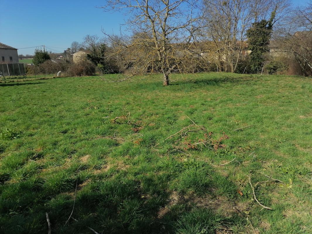 Terrain plat constructible-1881 m²-71700 Farges Lès Mâcon-plat-arboré