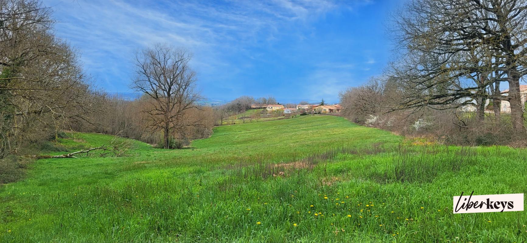 Terrains constructibles 2 hectares - Opportunité rare - Projet de Lotissement