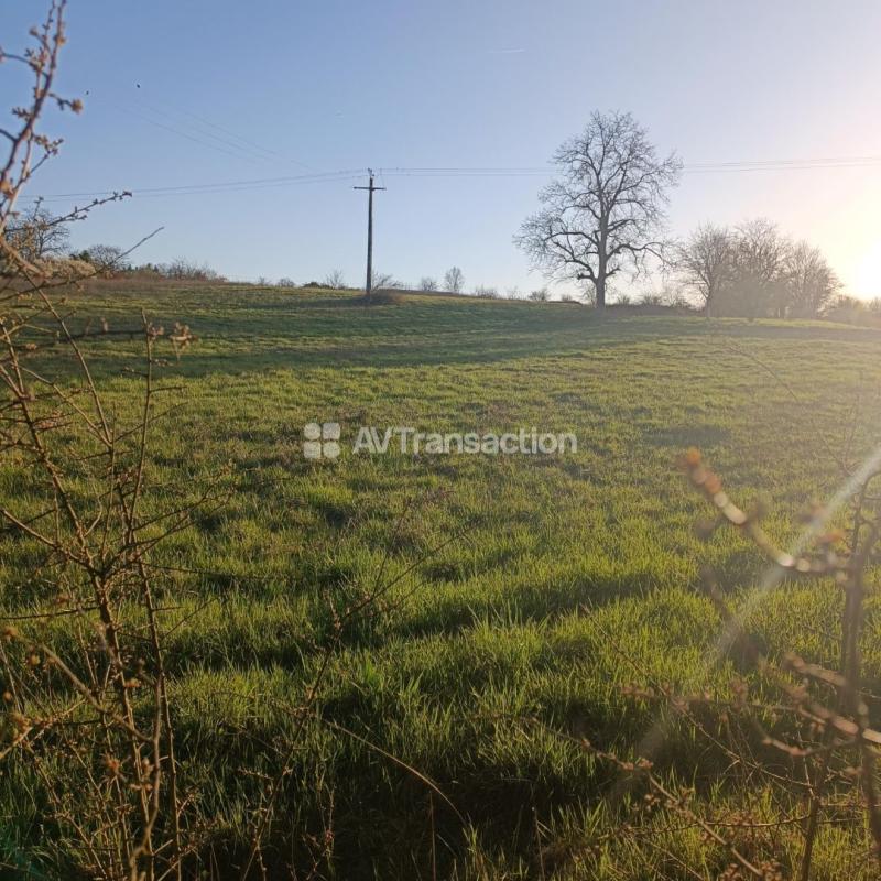 TERRAIN A VENDRE A CHOYE
