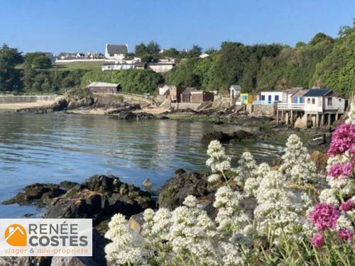 Vente en nue propriété - F82 ans - ST BRIEUC (22000)