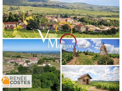 Vente en nue propriété - H75 ans - VILLIE MORGON (69910)