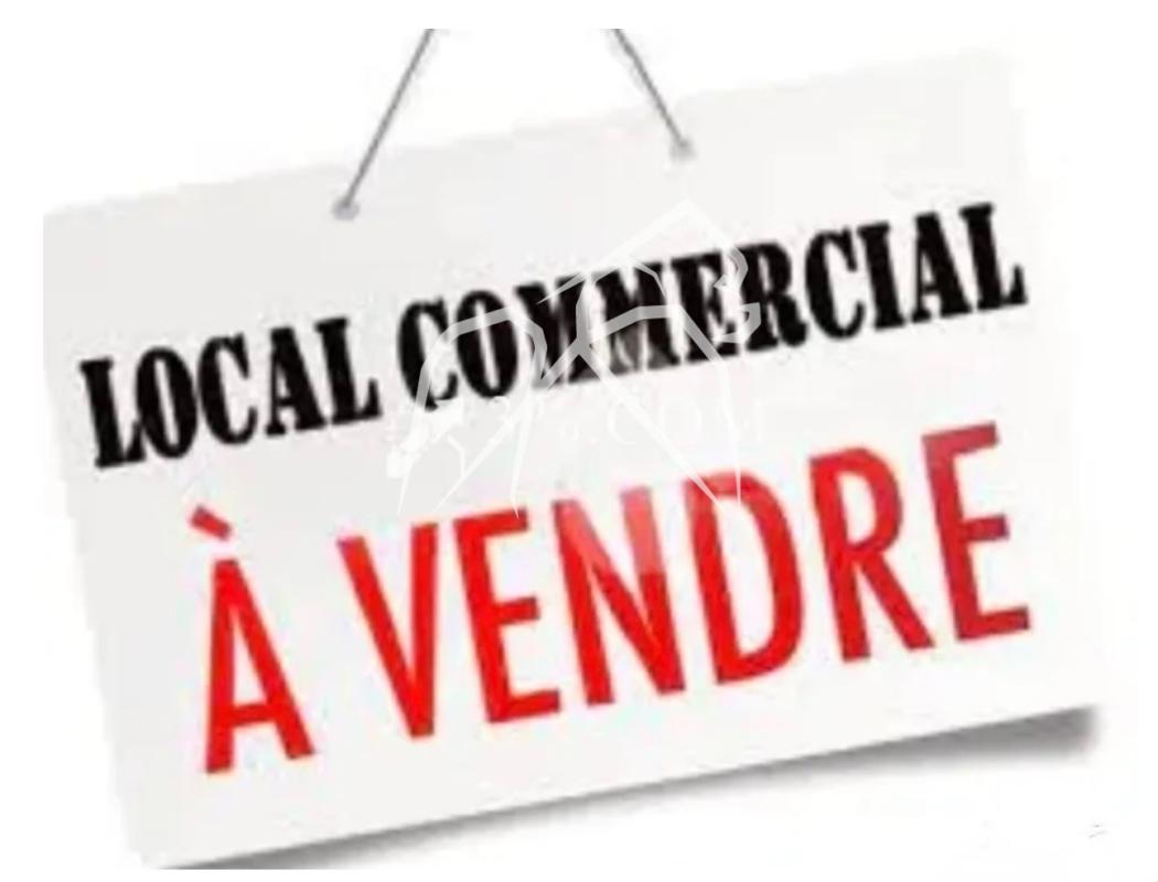 LOCAL COMMERCIAL OU APPARTEMENT | EMPLACEMENT IDEAL | ROUTE DE PARIS