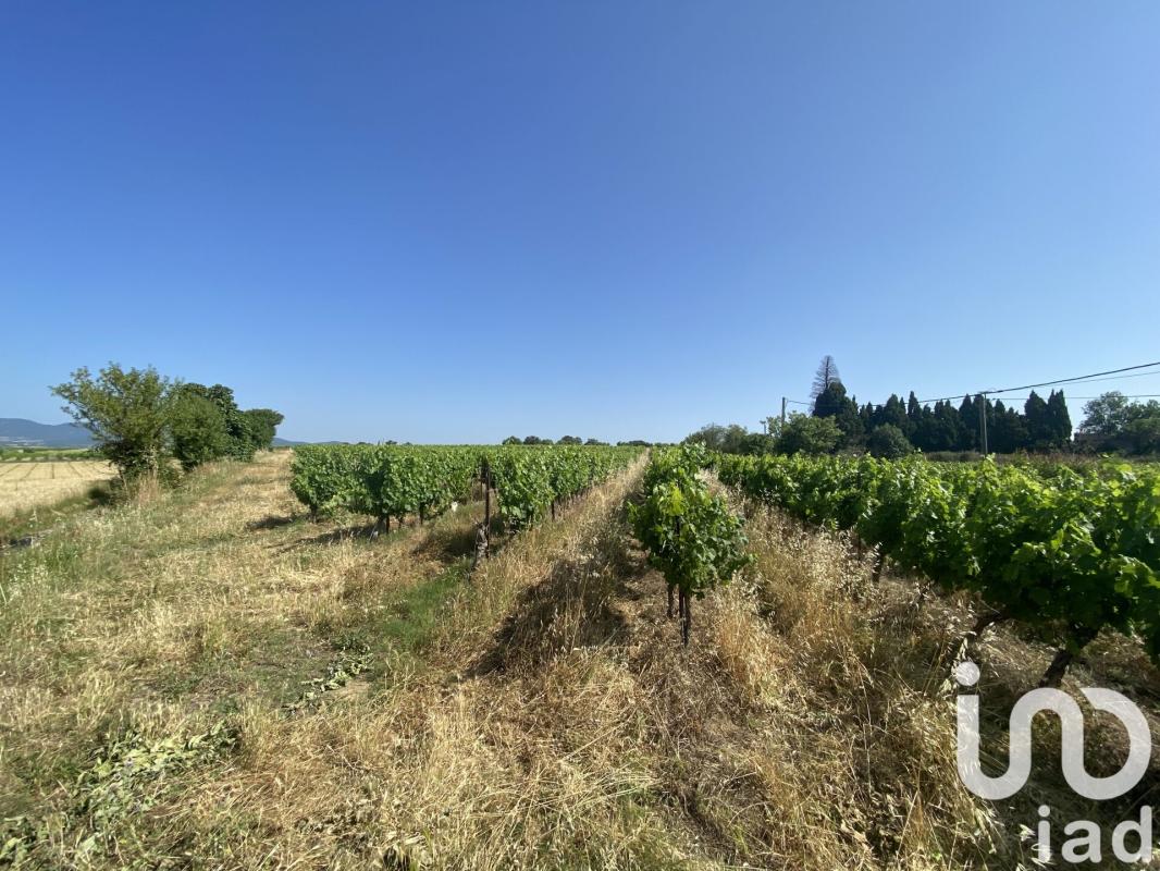 Terrain agricole  Magalas