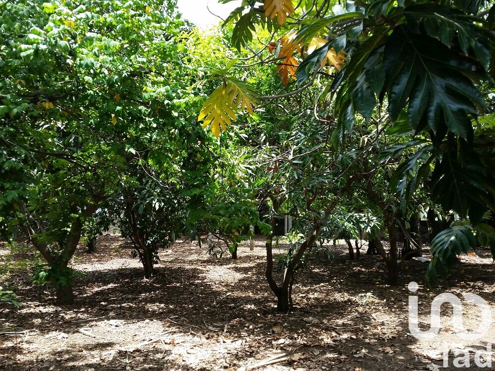 Terrain  Saint-Pierre