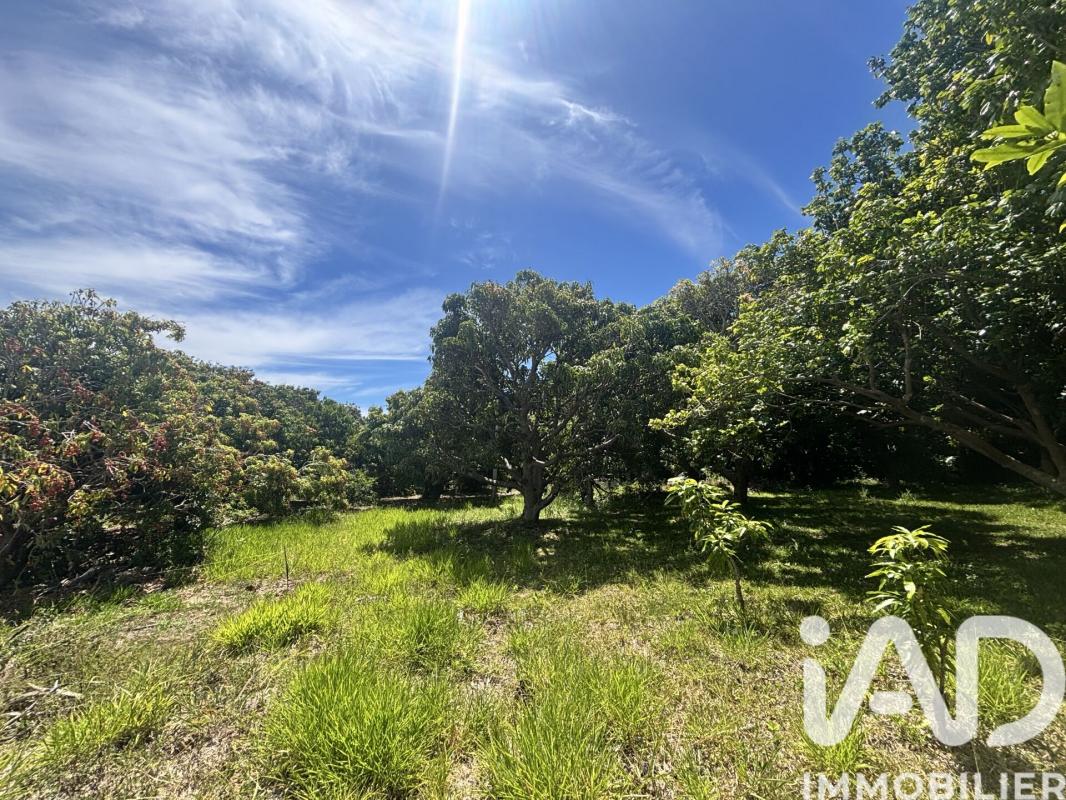 Terrain  Saint-Pierre