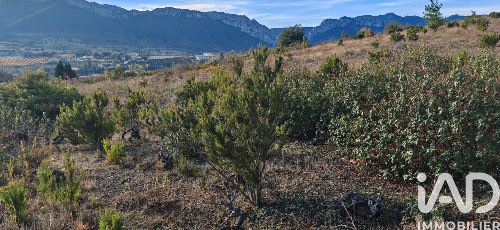 Terrain agricole  Saint-Paul-de-Fenouillet