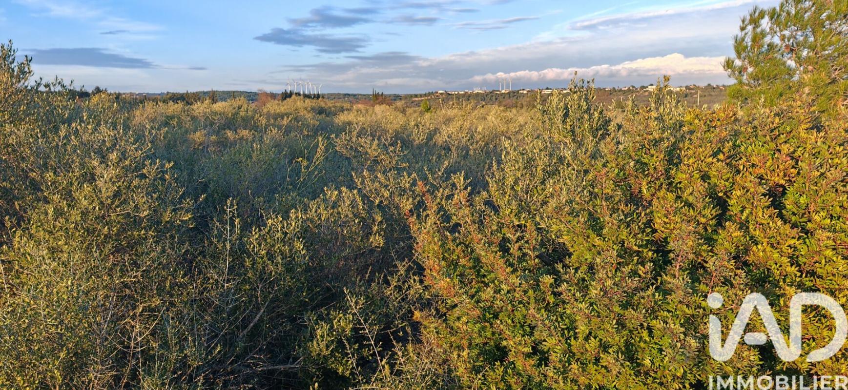Terrain agricole  La Palme