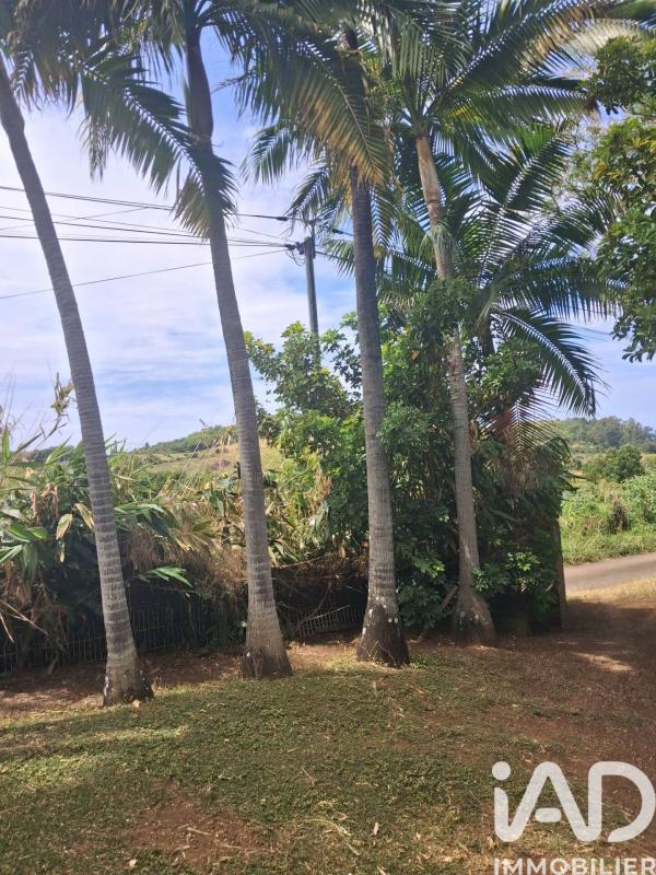 Terrain  Saint-Pierre