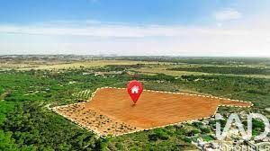 Terrain  Dolus-d'Oléron