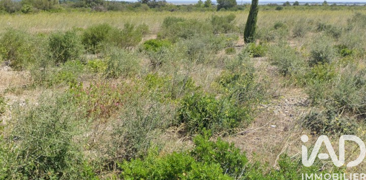 Terrain agricole  La Palme