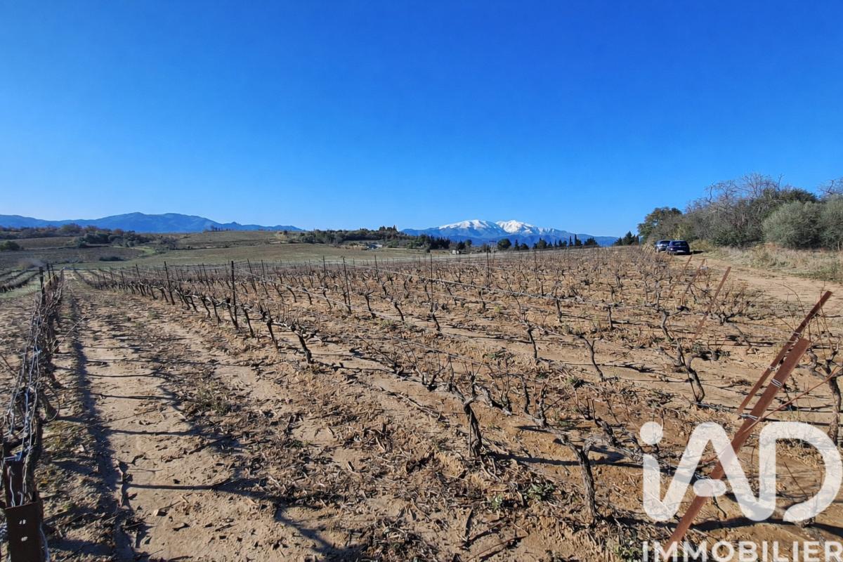 Terrain agricole  Bages
