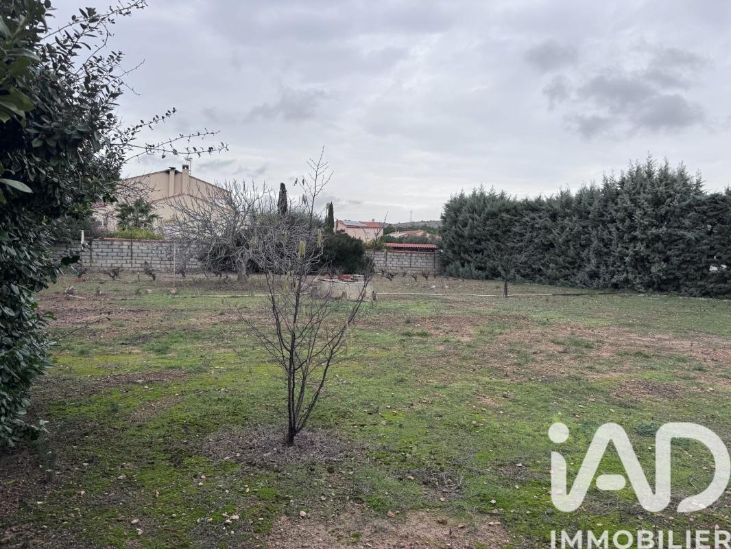 Terrain  Salses-le-Château