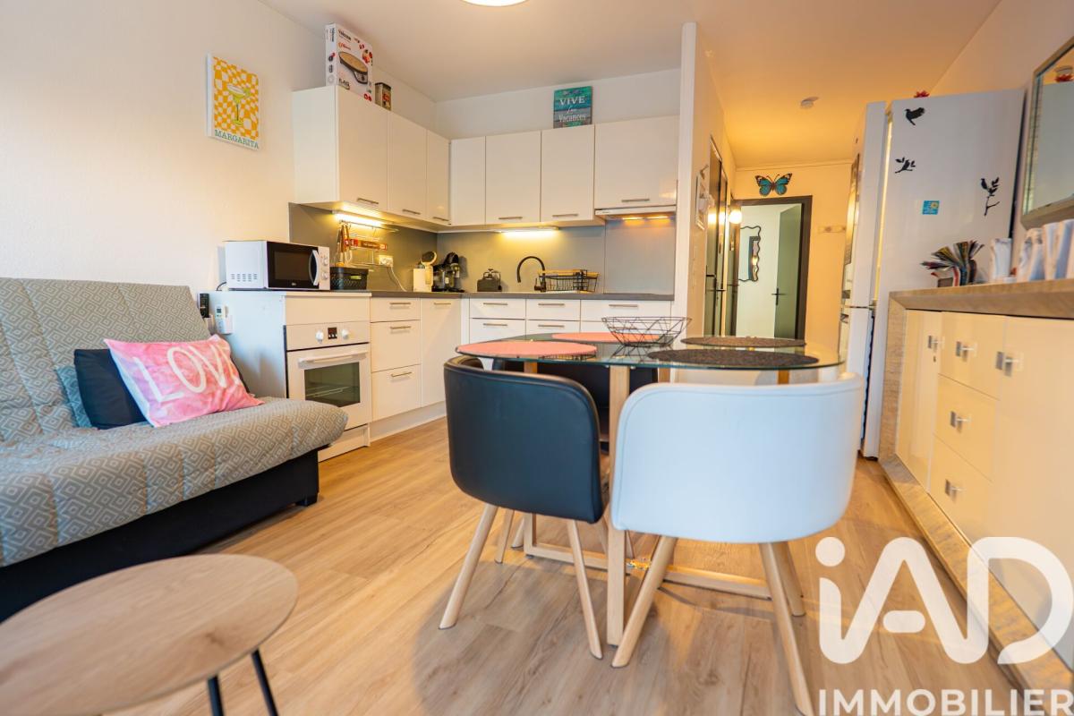 Appartement 2 Pièce(s) Saint-Cyprien