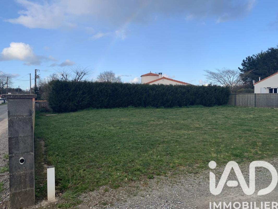 Terrain  Chaumes-en-Retz