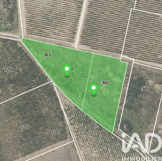 Terrain agricole  Raissac-d'Aude