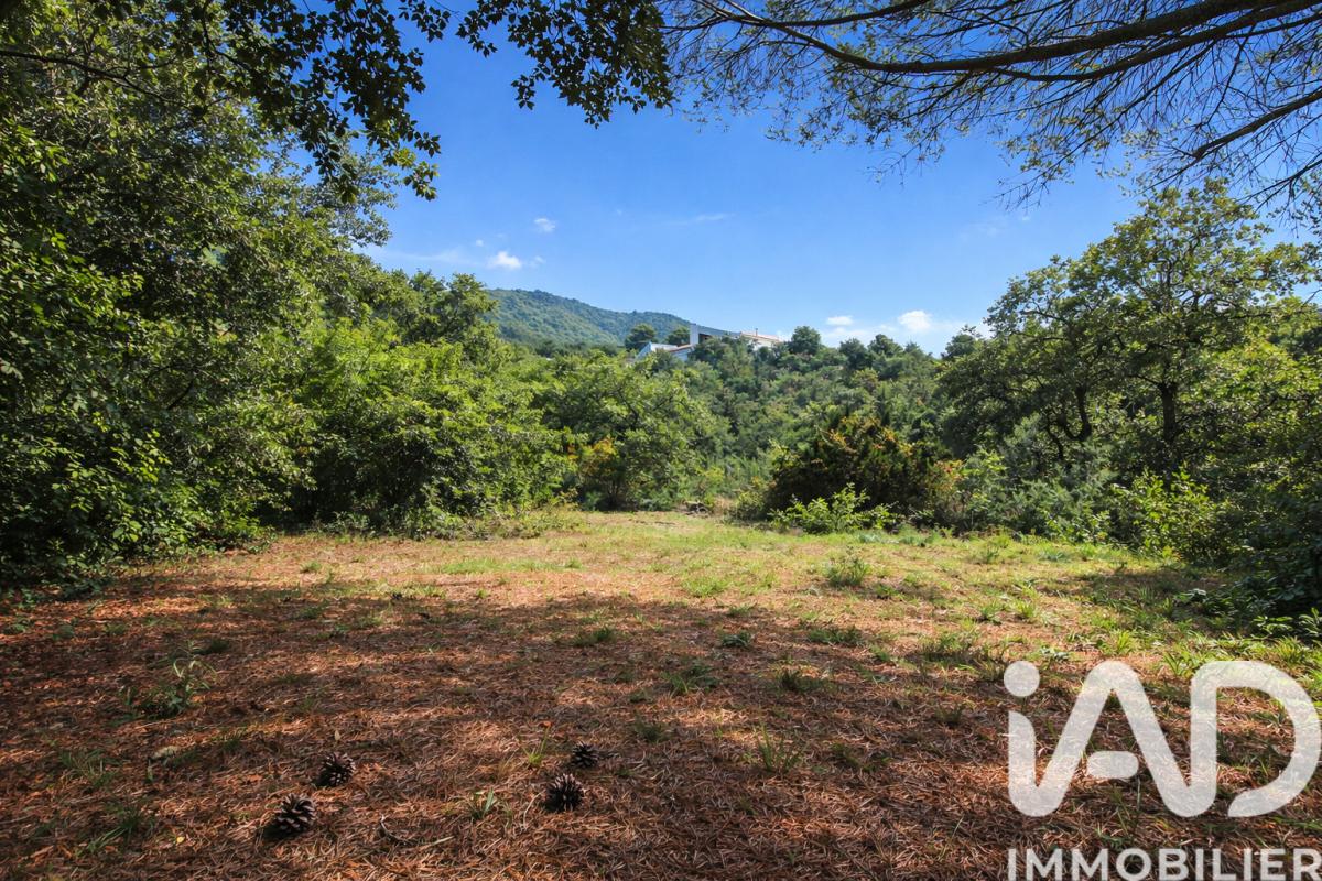 Terrain  Montesquieu-des-Albères