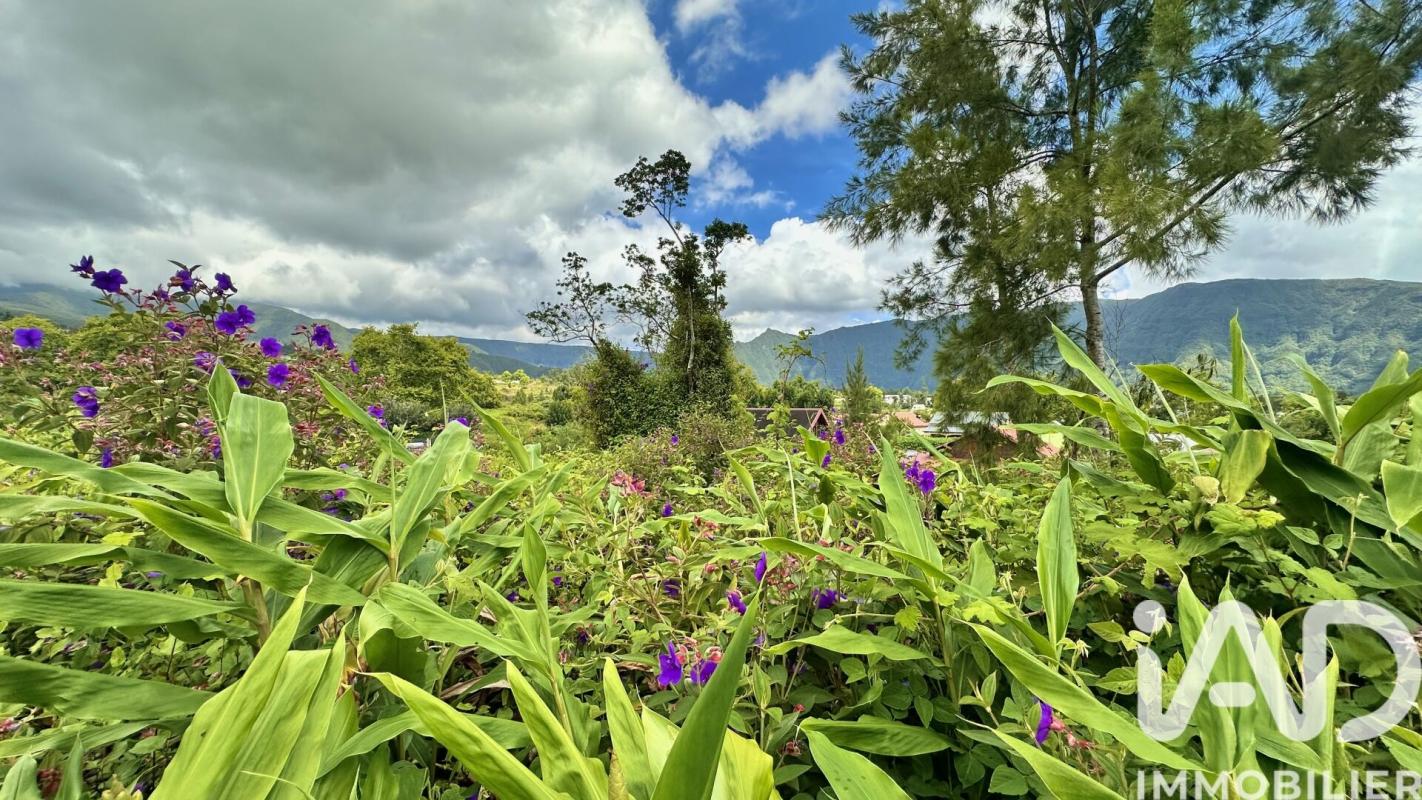 Terrain  La Plaine-des-Palmistes