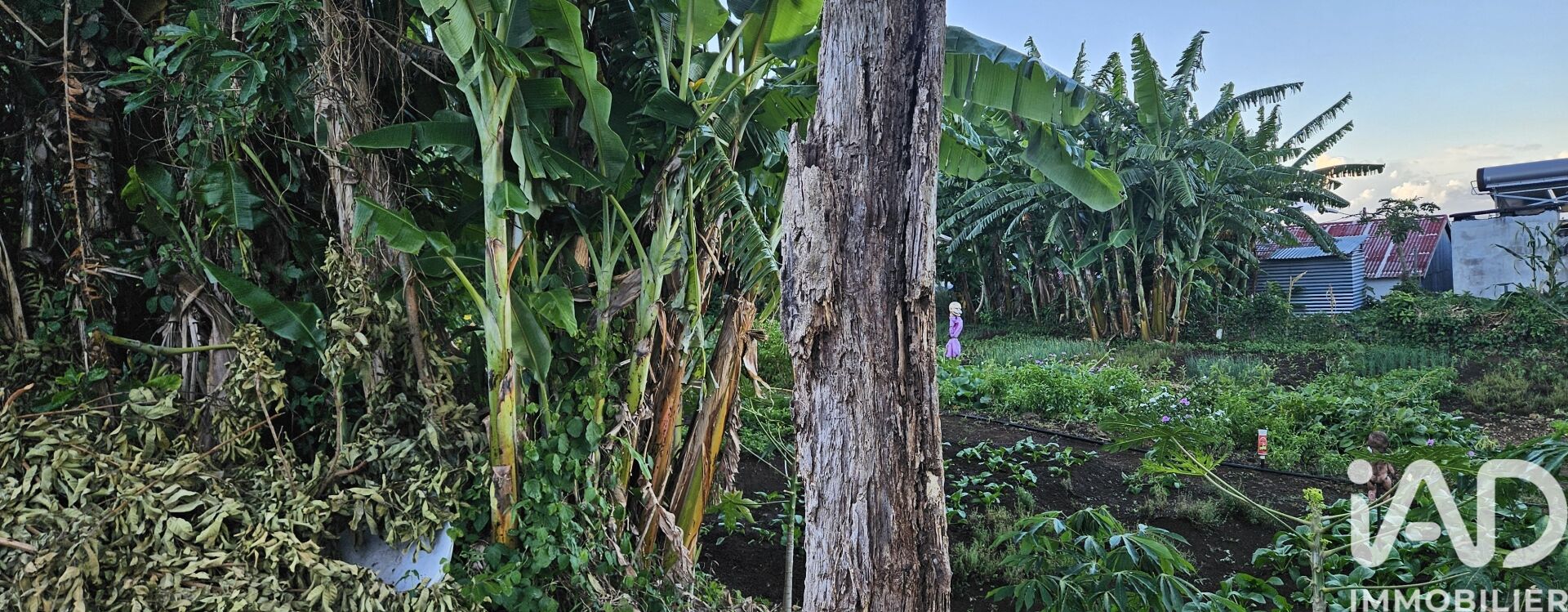 Terrain  Saint-Denis