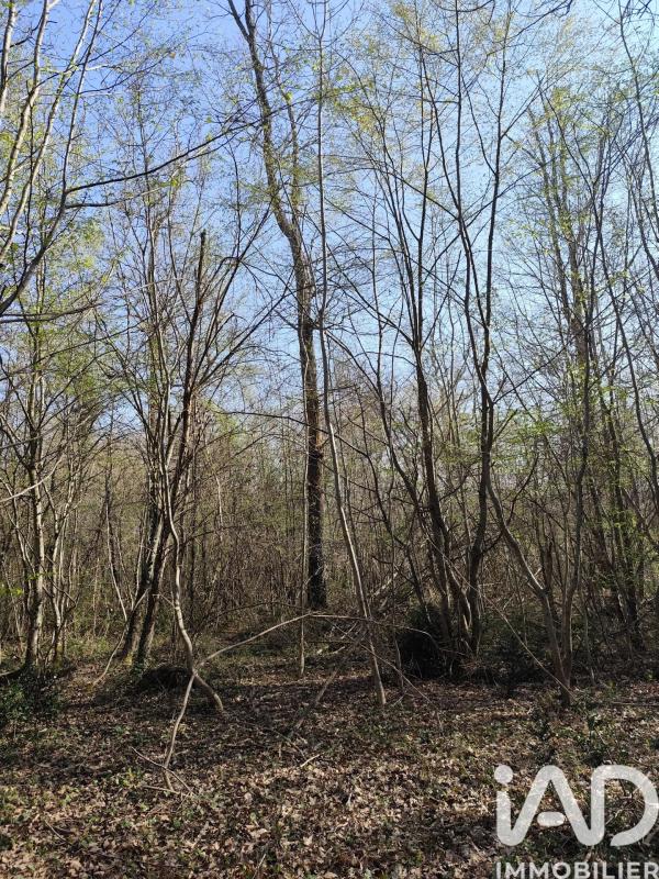 Terrain  Sury-près-Léré