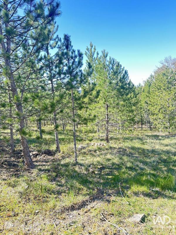 Terrain  Mollans-sur-Ouvèze